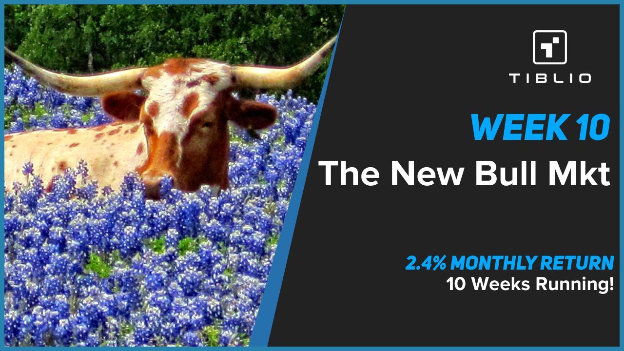 Tiblio AI Week 10 - The New Bull Market